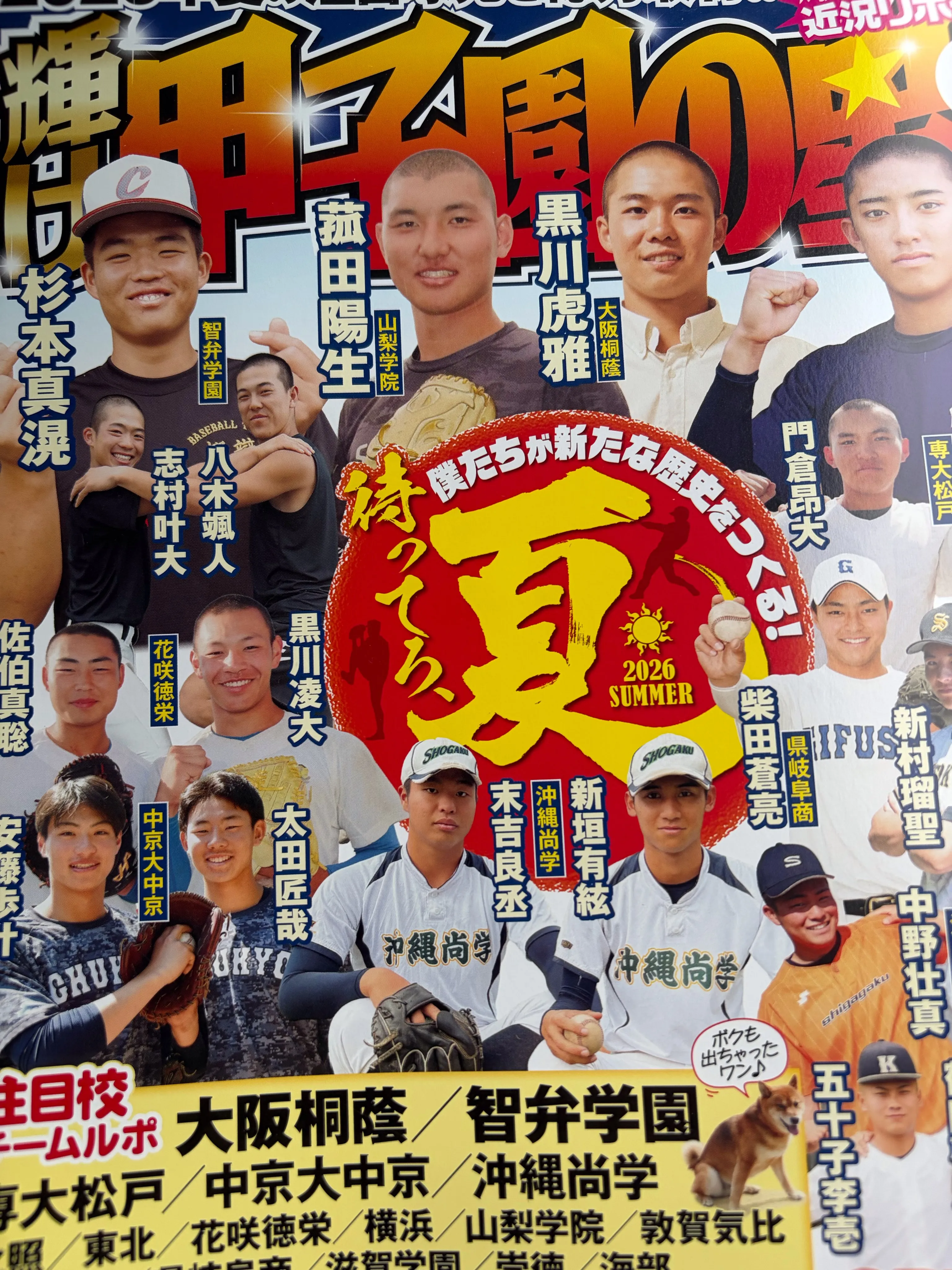 ⚾️ 夏、開幕。